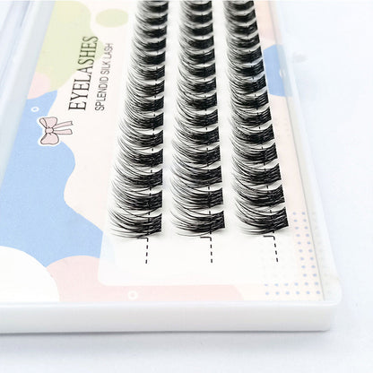 LashClusters – Natuurlijke Wimpers in Seconden